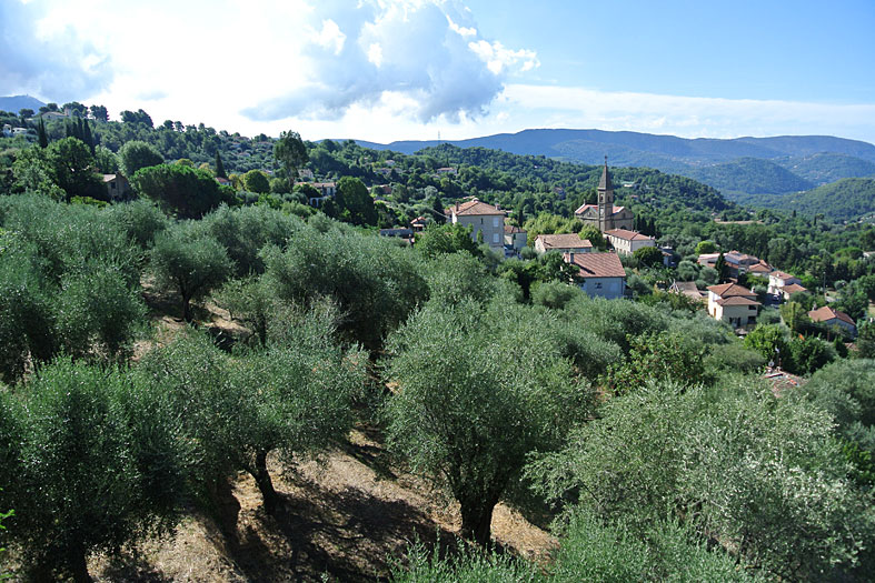 Camping la Ferme de Riola - Sclos de Contes